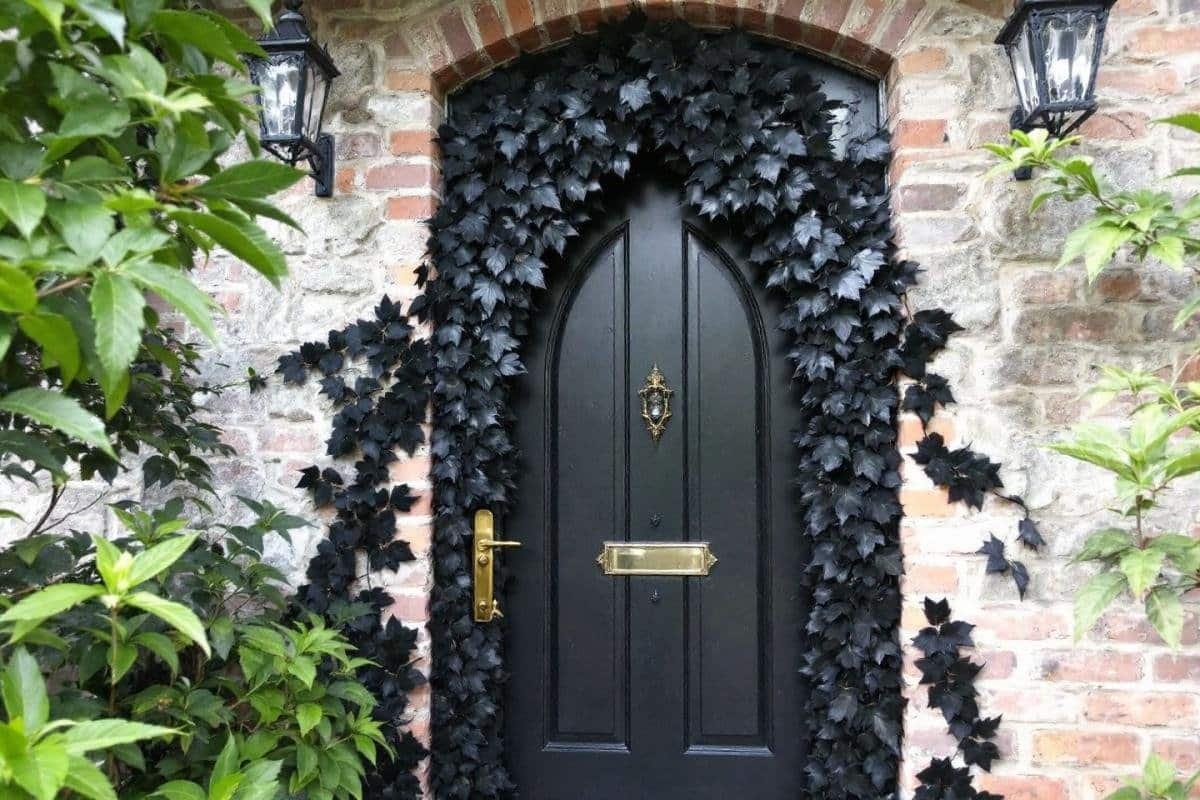 Couronnes et guirlandes d'Halloween extérieur : décoration automne citrouilles pour porte d'entrée