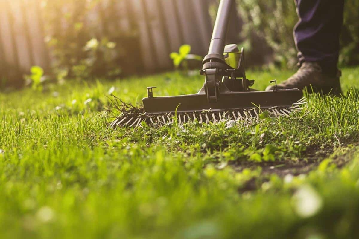 Scarification et regarnissage d'automne : guide complet pour une pelouse revitalisée