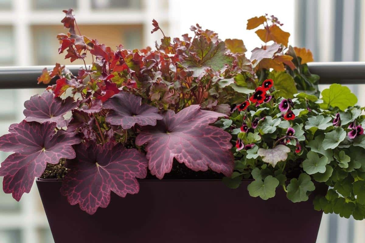 Jardinières d'automne : 7 compositions florales magnifiques à reproduire pour embellir votre extérieur