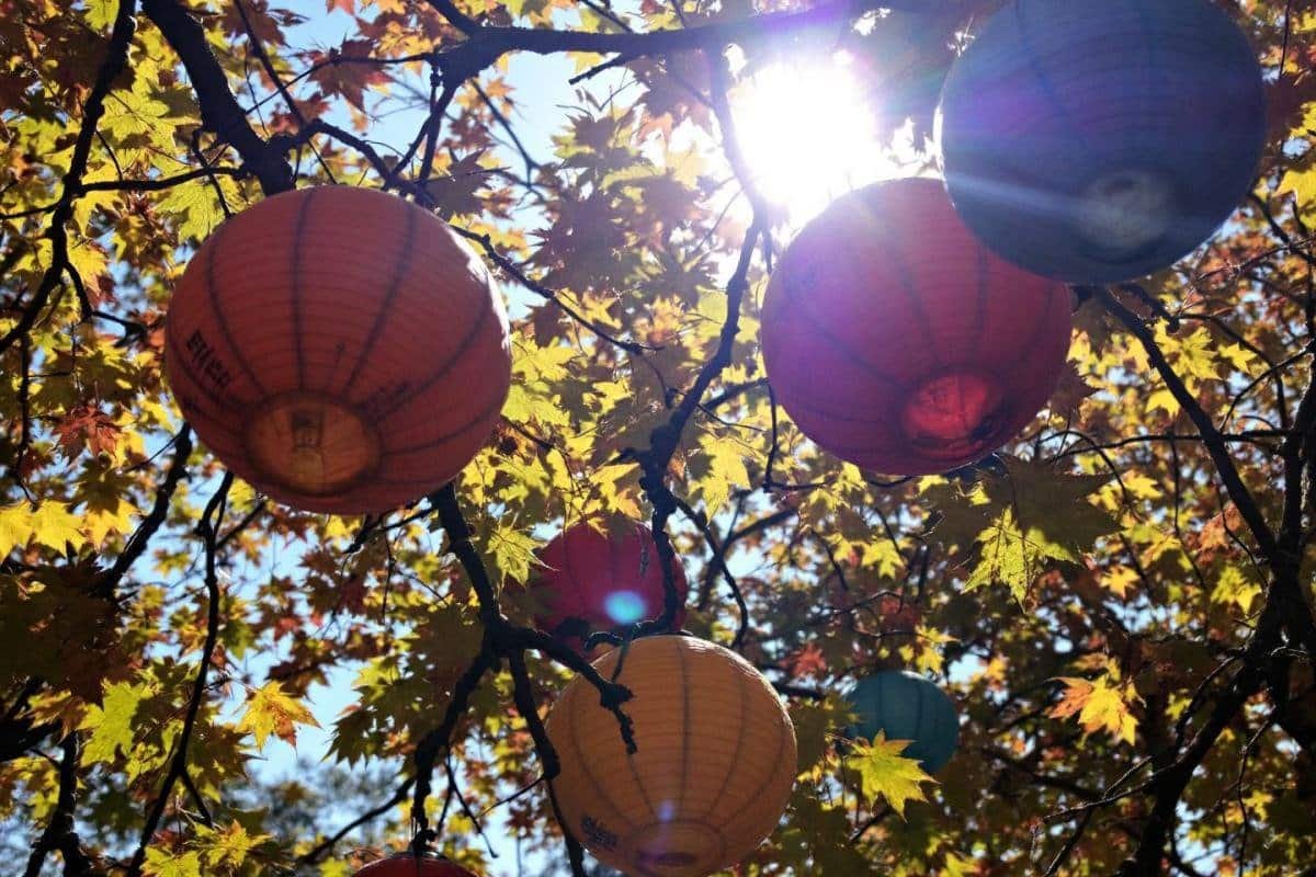 Décoration DIY automne : lanternes extérieur, idées créatives pour un jardin cosy